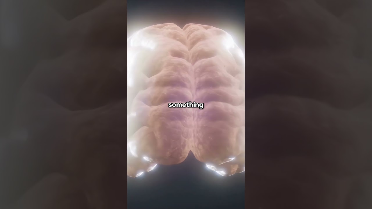 Creatine - Enhanced Labs