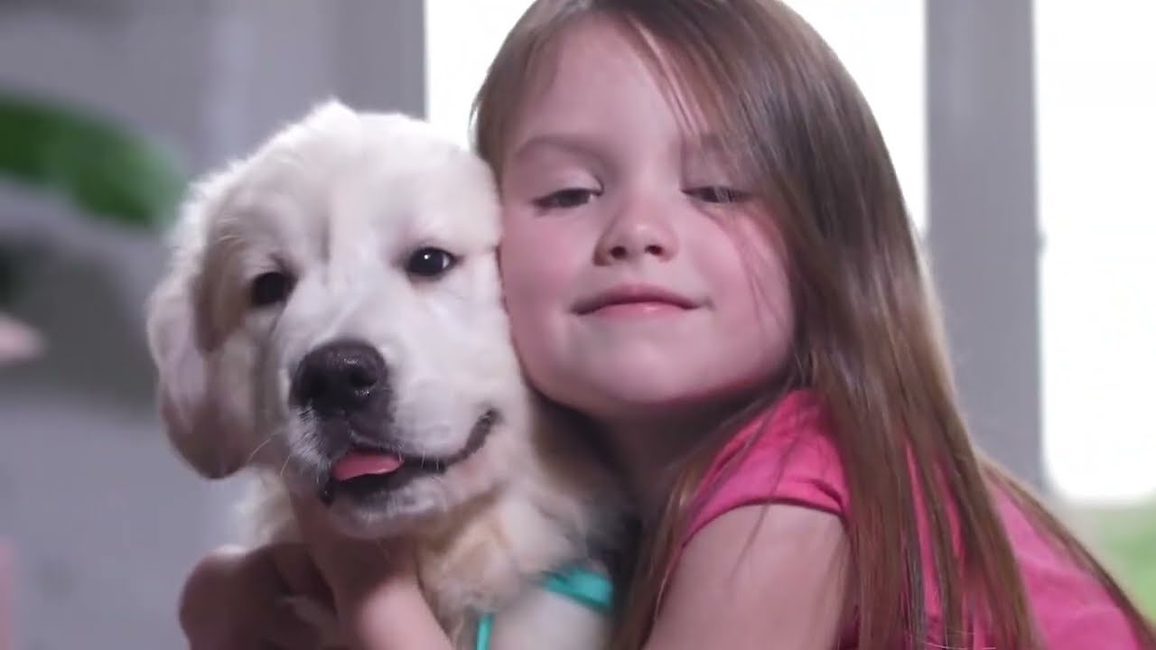 VETERINARIOS (Mascotizate Latam.tv)