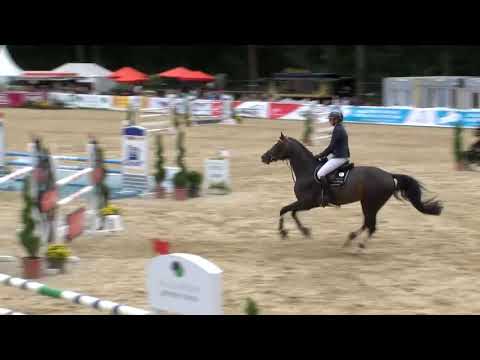 Cieran 2.Qualifikation Bundeschampionat 2020 6jährige Springpferde