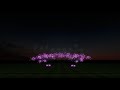 Dominator FIreworks FInale 3D Test