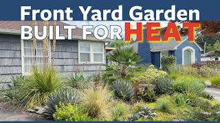 Heather's Front Yard 🌵 Built for Heat | Portland, OR