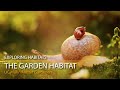 The Garden Habitat - Exploring Habitats