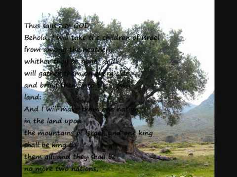 Thumbnail for Isaiah 49 video