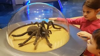 Family fun ride at Children's City Museum. Kids pretend playing. Video 2017