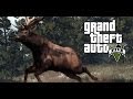ALL Animals in GTA V (Grand Theft Auto 5) 