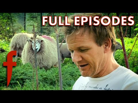 Victoria and David Beckham Save Gordon Ramsay's Lambs | Full Episodes | The F Word
