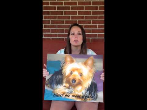 Rainbow Bridge Poem recited by Tiffany Marsh