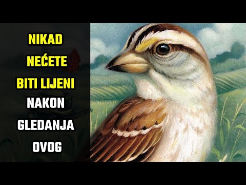 NIKAD NEĆETE BITI LIJENI NAKON GLEDANJA OVOG | Budistička priča o lijenosti |