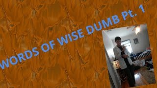 Words Of Wise Dumb Pt. 1