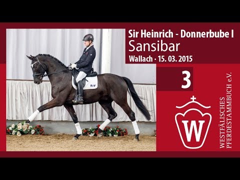 03 Sansibar  Wallach v. Sir Heinrich - Donnerbube I