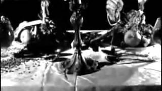 Virus - Shame Eclipse (Fan Video)