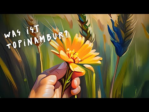 Was ist Topinambur? Wir stellen die Pflanze vor!