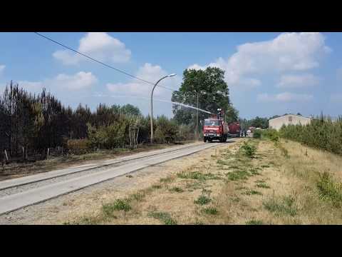 FF Ämter Friesack u. Rhinow u. Stadt Rathenow - Waldbrand am 04.06.2018 in Rhinow