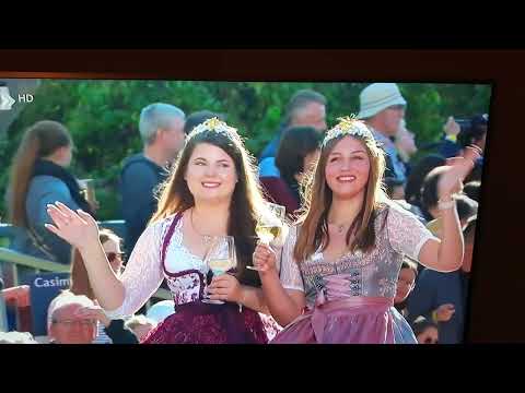 Der #Pfälzer #Bulli mit den Weinprinzessinnen beim Winzerfestumzug in #Neustadt 2022