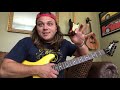 Late 80’s Robin Raider Guitar Review