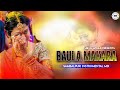 Baula Makara || Sambalpuri Instrumental Mix || Sbp Dj World