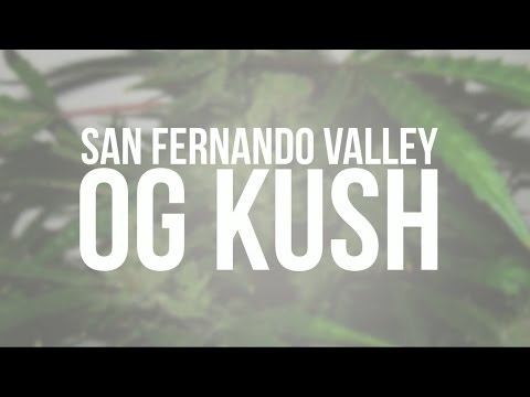 San Fernando Valley OG Kush genetic