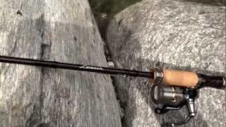 Shimano lesath cx spinning 210m источник https expertology.ru 7-luchshikh-kastingovykh-spinningov