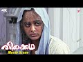Thirakkatha 4K Malayalam Movie Priyamani Longs For Peace Near The Clouds Prithviraj Priyamani