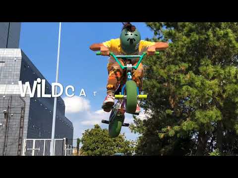 ENJOY! MINI BMX FREESTYLE RIDING  / WILDCAT BMX.
