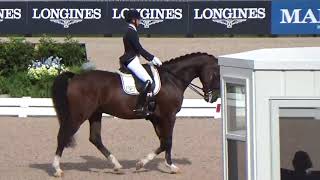 Le KWPN, meilleur studbook de l'année 2017