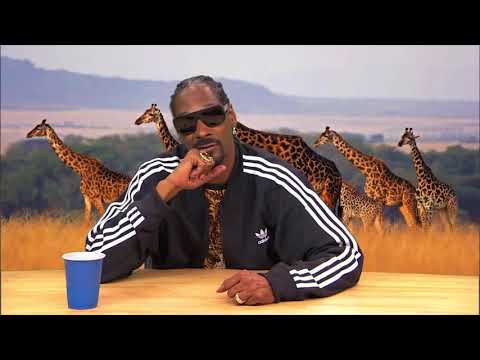 HILARIOUS! Snoop Dogg narrates Animal Planet Documentary