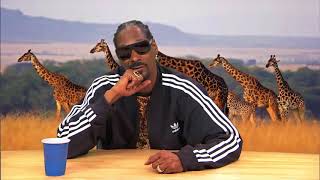 HILARIOUS! Snoop Dogg narrates Animal Planet Documentary