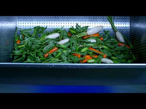 Commercial Vegetable Washing Machine