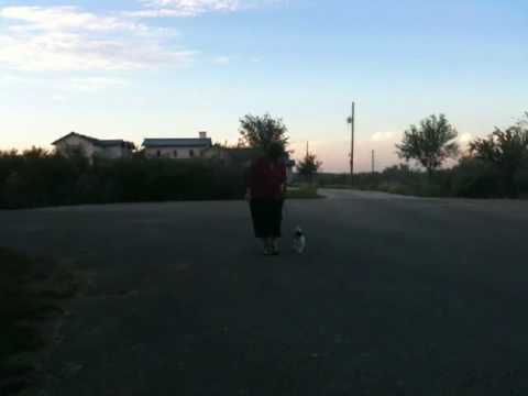 Sophie-Anne at 15 weeks