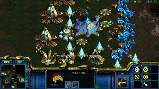 Brood War 2024-06-14 40분 장기전