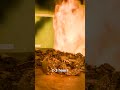 How Cremation Works 😯