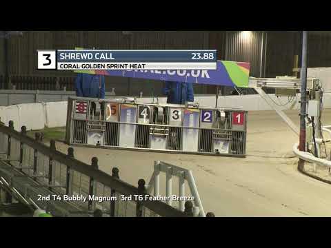 2021 CORAL GOLDEN SPRINT - HEAT 5 - T3 SHREWD CALL