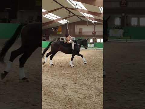 Krumke März 2019, Morpheus, Frances Kür