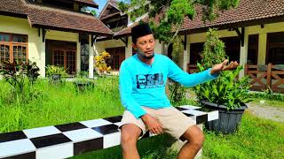 Download lagu selesaikan masalah MURAI BATU tidak mau bunyi di siang hari dan cenderung gacor malam hari mp3 Download lagu selesaikan masalah MURAI BATU tidak mau bunyi di siang hari dan cenderung gacor malam hari mp3