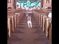 Alex G Trick FULL ALBUM But It S 3 Minutes Long