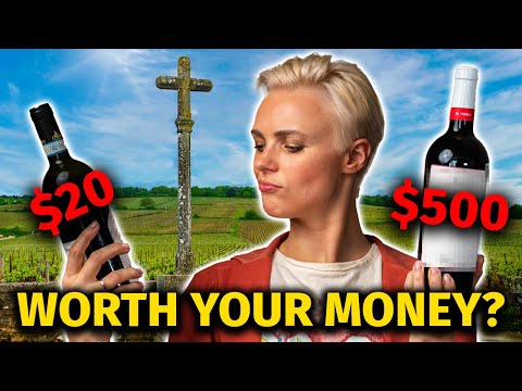 Are EXPENSIVE Wines WORTH Your Money? (Blind Tasting $20, $100 & $500 Wines)