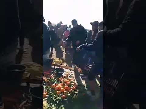 khodra ghalya daro hojom 3la biya3a