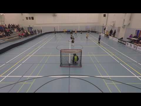 2017-01 Sonkajärvi piirisarjaa Welhot-007 Kultasormet-KallSi 12-8, voitto Welhoille