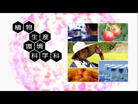 190033　宮崎大学農学部紹介　植物生産環境科学科〈2019年8月改訂〉