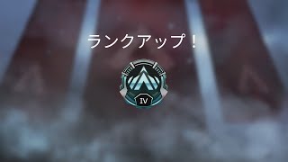 【APEX】ランク
