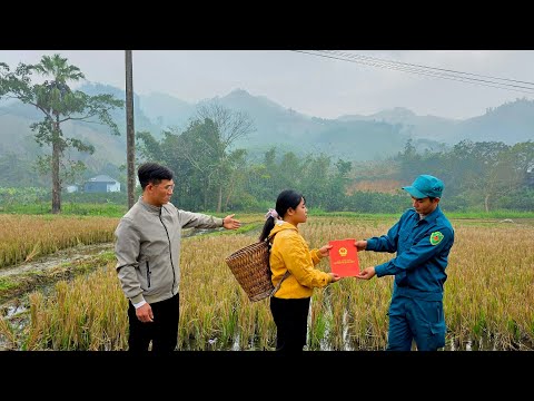 Tiểu Tiêu was surprised when CEO Lee helped her reclaim the land that had been seized by others.
