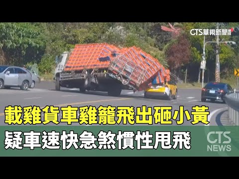 載雞貨車雞籠飛出砸小黃　疑車速快急煞慣性甩飛