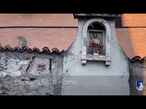 PRO LOCO DI ARZIGNANO Passeggiando nel centro di Arzignano