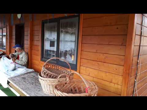 Pensiunea  familiei Barbu  Pietroasa - Timis