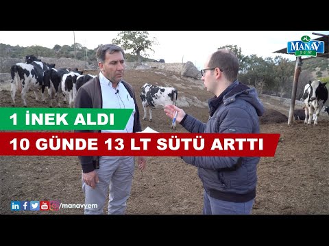 , title : '1 İnek Aldı, 10 Günde 13 LT Sütü Arttı'