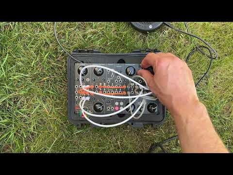 Birds demo video