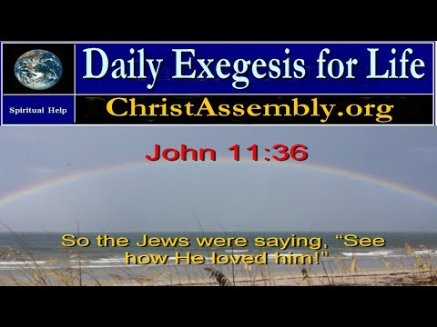 Day  501 | The Gospel of John | Daily Exegesis for Life | John 11:36