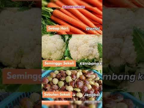 Boleh Setiap Hari? Cukup Seminggu Sekali?  #ibudanayah