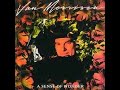 Van Morrison – A Sense Of Wonder  - B5  A New Kind Of Man / Mercury – MERH 54/ UK  1984