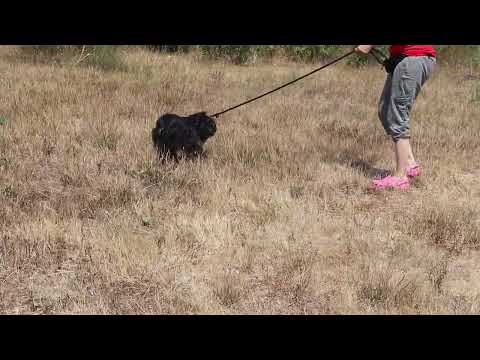 Vídeo de LUANA